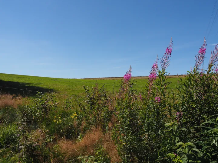 Beausaint (La Roche-en-Ardenne, België)